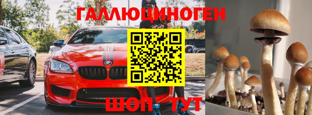 Губкин  купить наркоту  Вход с VPN  Галлюциногенные грибы Psilocybe 