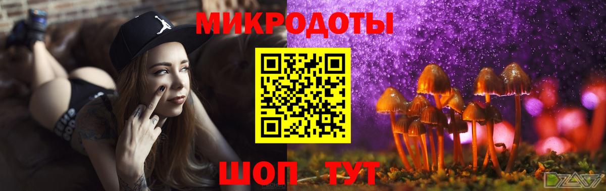 Галлюциногенные грибы прущие грибы Губкин